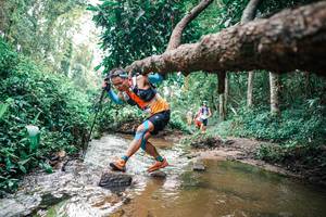 BIB: 
                            <button type="button" onclick="openModal(25368825)" class="btn btn-primary btn-sm float-right btn-popup" data-toggle="modal" data-target=".modal-high-quality">
                        <i class="fas fa-shopping-cart"></i> Add to Cart
                    </button>
                                            <button type="button" onclick="isThisMe(25368825, true)" class="btn btn-success btn-sm float-right btn-popup btn-isme hidden" data-toggle="tooltip" data-placement="bottom" title="นี่คือรูปของคุณใช่ไหม คลิกที่นี่เพื่อเอาเข้าอัลบั้ม">
                        <i class="fas fa-plus"></i> Add to album
                    </button>
                    <button type="button" onclick="isThisMe(25368825, false)" class="btn btn-warning btn-sm float-right btn-popup btn-isnotme hidden">
                        <i class="fas fa-ban"></i> Remove from album
                    </button>